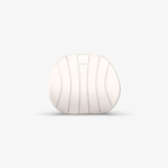 add_aimban neckcushion L_20250721_070644.jpg